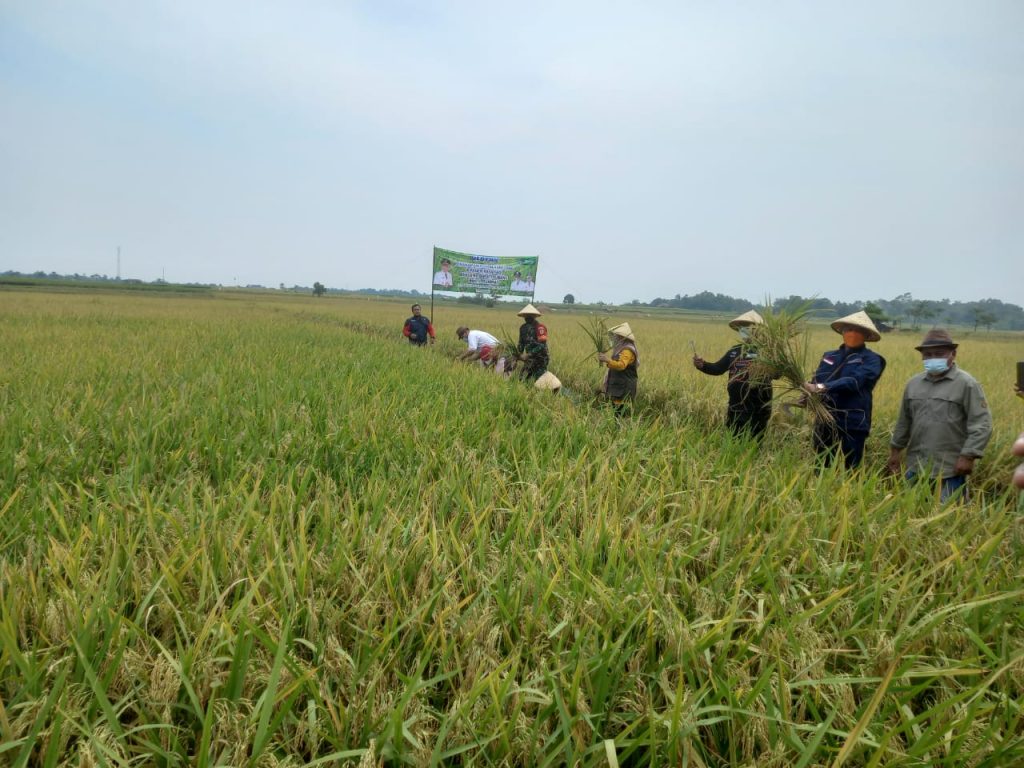 Kapolsek Pagaden Dampingi Bupati Subang laksanakan Gebyar Penanaman pohon Hanjuang